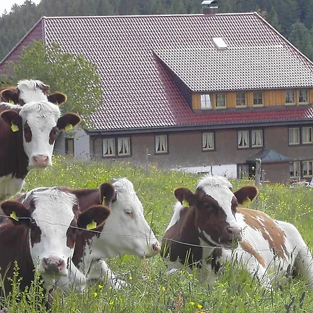 Séjour à la ferme Haus Am Berg